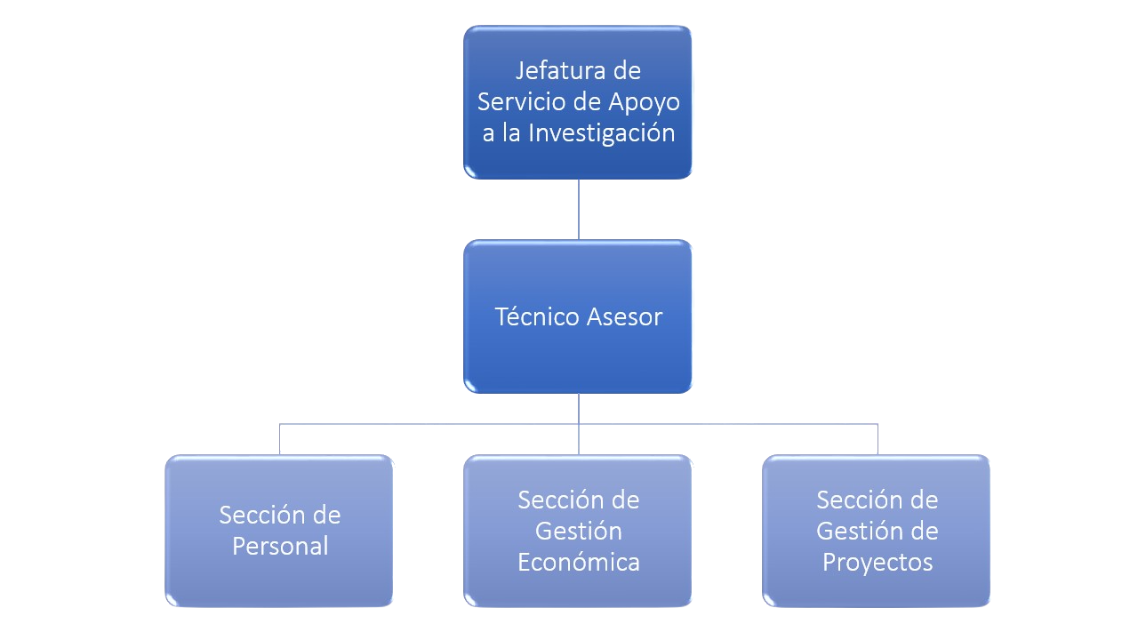 ESTRUCTURA DEL SERVICIO DE APOYO A LA INVESTIGACIÓN Estructura de Servicios y Gestión de Apoyo Horizontal sin fondo